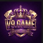 V9 Game