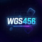 WGS456 Game