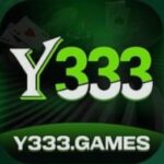 Y333 Game
