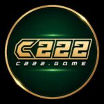 C222 Game