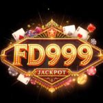 FD999 Game